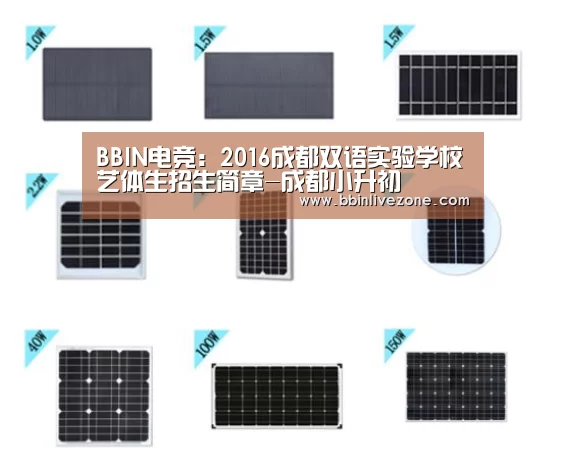 BBIN电竞:2016成都双语实验学校艺体生招生简章-成都小升初(图2) BBIN国际厅