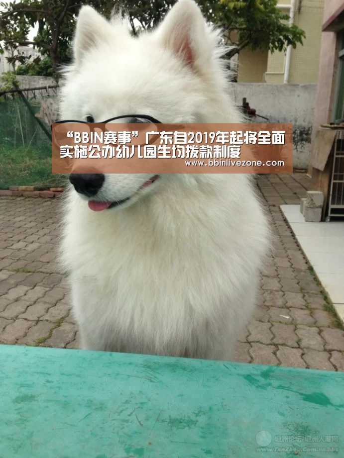 “BBIN赛事”广东自2019年起将全面实施公办幼儿园生均拨款制度(图2) BBIN地址