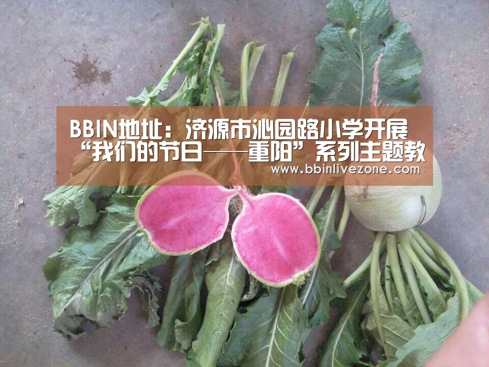 BBIN国际厅