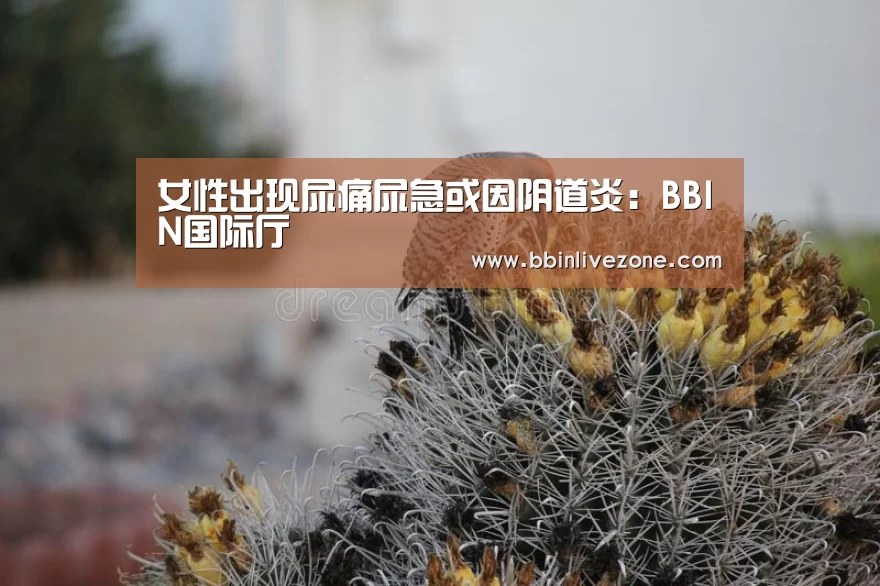 BBIN电竞