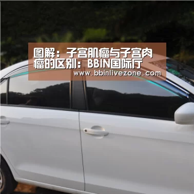 图解:子宫肌瘤与子宫肉瘤的区别:BBIN国际厅(图2) BBIN国际厅