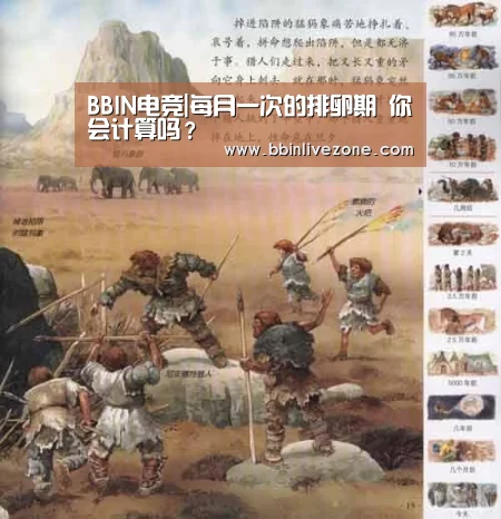 BBIN电竞|每月一次的排卵期 你会计算吗?(图2) BBIN国际厅