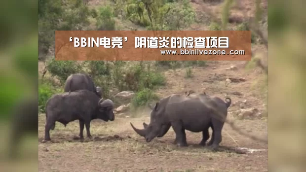 ‘BBIN电竞’阴道炎的检查项目(图3) BBIN赛事