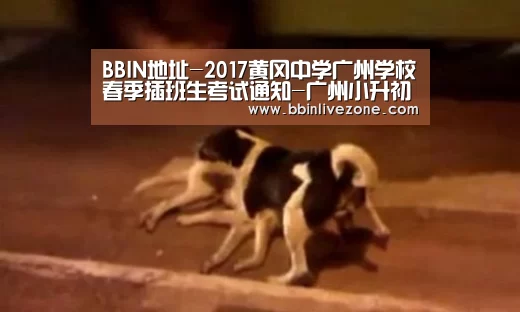 BBIN地址-2017黄冈中学广州学校春季插班生考试通知-广州小升初(图2) BBIN地址